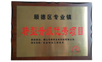 转型升级优秀项目证书